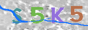 キャプチャ画像