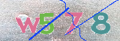キャプチャ画像