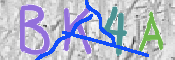 キャプチャ画像