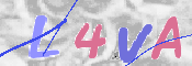 キャプチャ画像