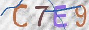 キャプチャ画像