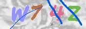 キャプチャ画像