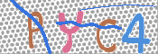 キャプチャ画像