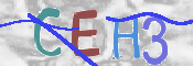 キャプチャ画像