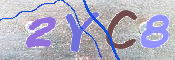 キャプチャ画像