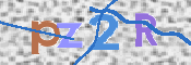 キャプチャ画像