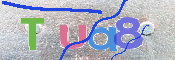 キャプチャ画像
