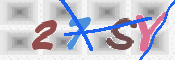 キャプチャ画像