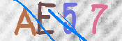 キャプチャ画像