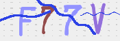 キャプチャ画像