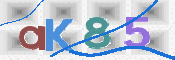 キャプチャ画像
