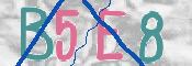 キャプチャ画像