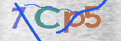 キャプチャ画像