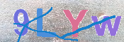 キャプチャ画像