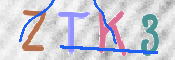 キャプチャ画像