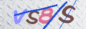 キャプチャ画像