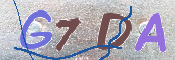 キャプチャ画像