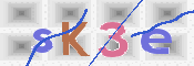 キャプチャ画像