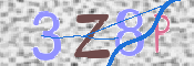 キャプチャ画像