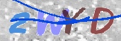キャプチャ画像