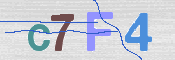 キャプチャ画像