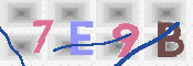 キャプチャ画像