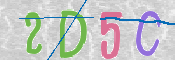 キャプチャ画像