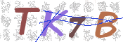 キャプチャ画像
