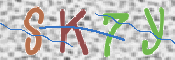 キャプチャ画像