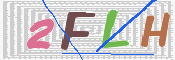 キャプチャ画像