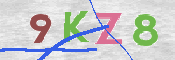 キャプチャ画像