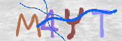 キャプチャ画像
