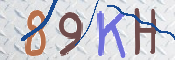 キャプチャ画像
