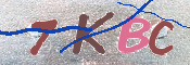 キャプチャ画像