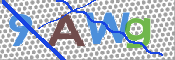 キャプチャ画像