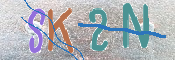 キャプチャ画像