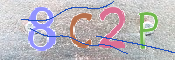 キャプチャ画像