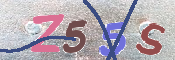 キャプチャ画像