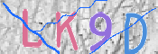 キャプチャ画像