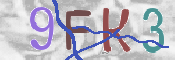 キャプチャ画像