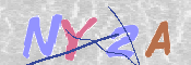 キャプチャ画像