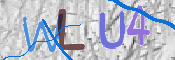 キャプチャ画像