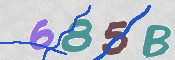 キャプチャ画像