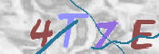 キャプチャ画像