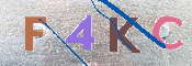 キャプチャ画像