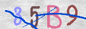 キャプチャ画像