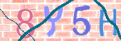 キャプチャ画像