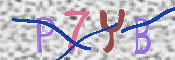 キャプチャ画像