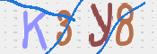 キャプチャ画像