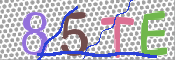 キャプチャ画像